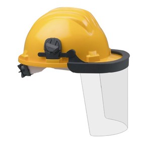 Face Shield With Out Helmet